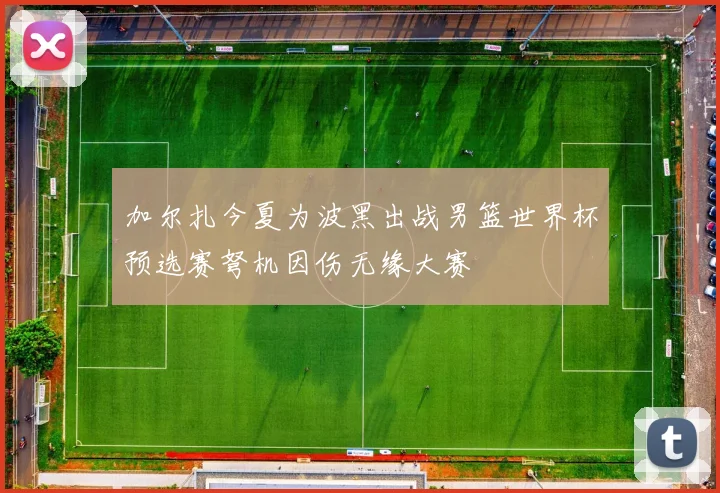 加尔扎今夏为波黑出战男篮世界杯预选赛弩机因伤无缘大赛