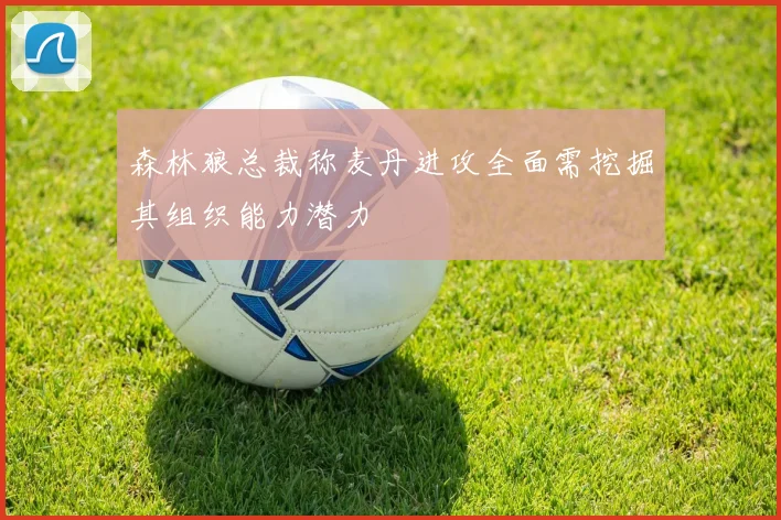 森林狼总裁称麦丹进攻全面需挖掘其组织能力潜力